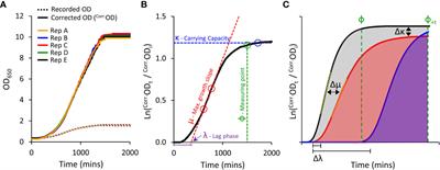 A high-throughput yeast approach to characterize aquaporin permeabilities: Profiling the Arabidopsis PIP aquaporin sub-family